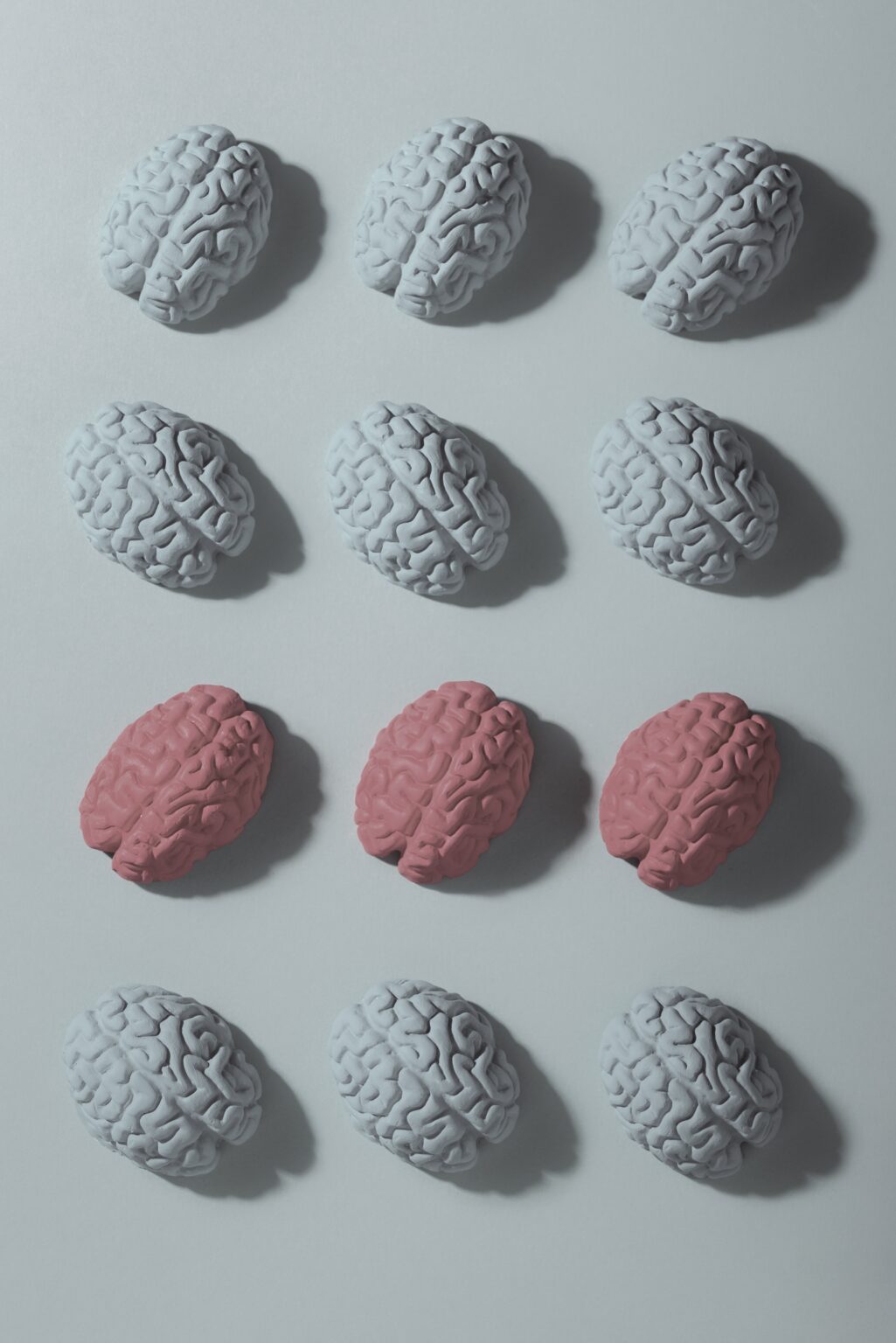 still-life-with-human-brains (1) 1